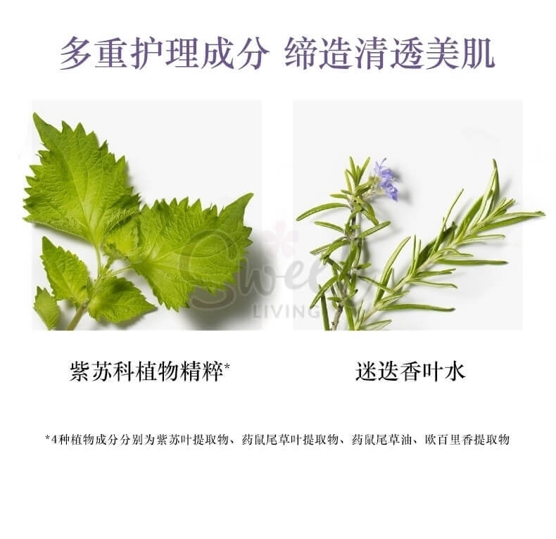 【日本】黛珂 Decorte 紫苏水/牛油果乳液 保湿闭口肌肤维稳化妆水 乳液 日本本土版/ COSME DECORTE Vita Drave Herbal Lotion/ Prim Latte Herbal Milk (150ml) -  - 2@@11 - Sweet Living