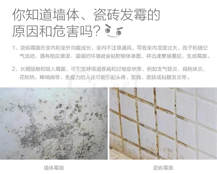 【日本】LEC 丽固除霉啫喱 除霉凝胶 去霉神器 除菌清洁剂 卫生间墙体去斑霉点 100g/ Anti-mould Gel -  - 2@ - Sweet Living