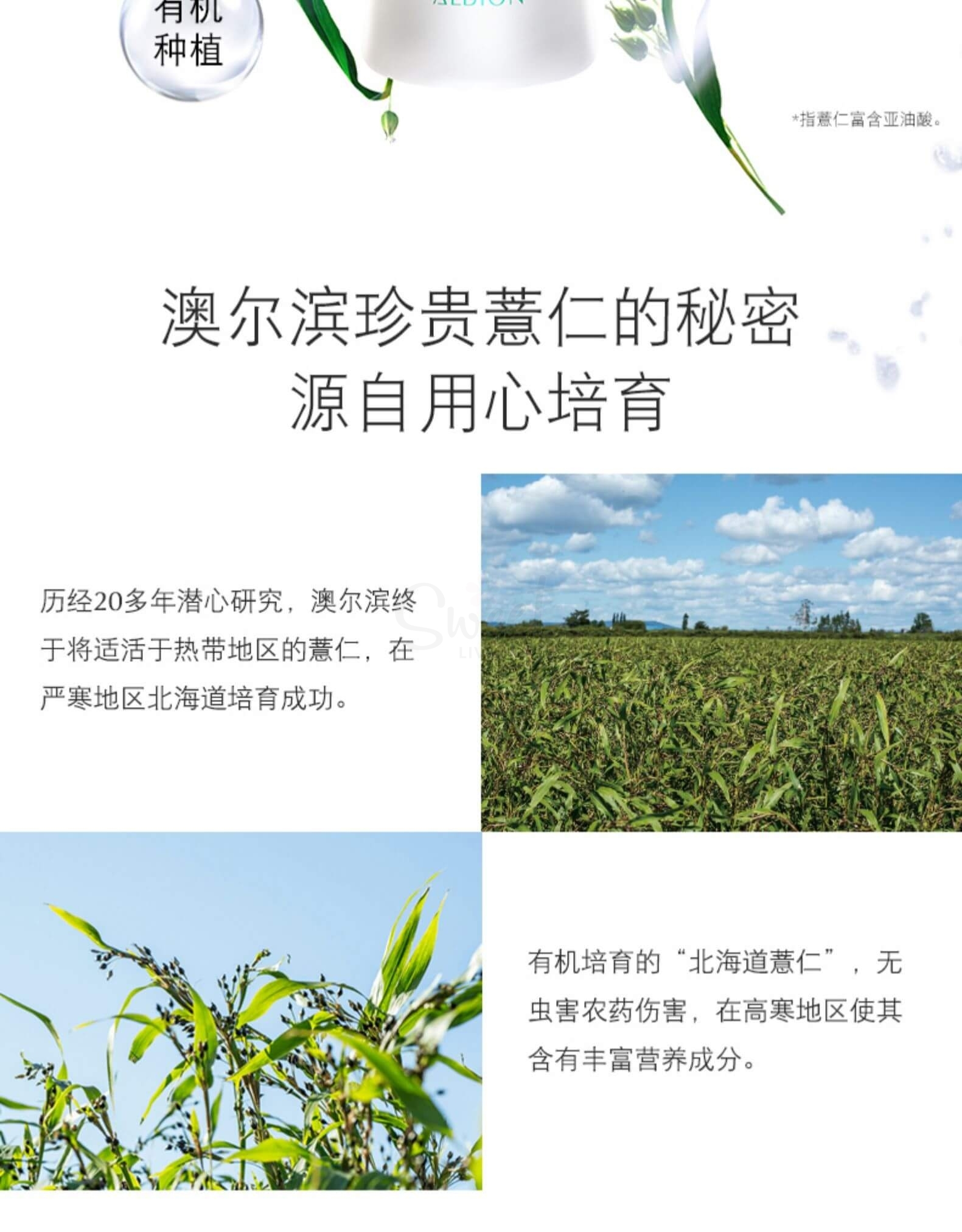 【日本】澳尔滨 健康水 爽肤精萃液化妆水/ ALBION Skin Conditioner Essential N (330ml) -  - 7@ - Sweet Living