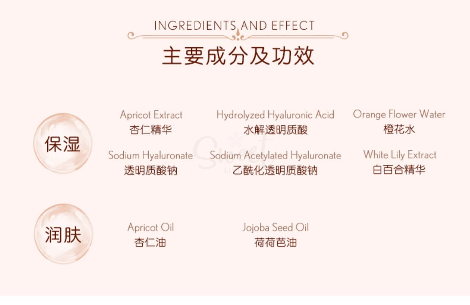 【日本】PAUL & JOE 搪瓷丝润隔离乳 保湿补水遮瑕隔离妆前乳01号 / Primer  (30ml) -  - 3@ - Sweet Living