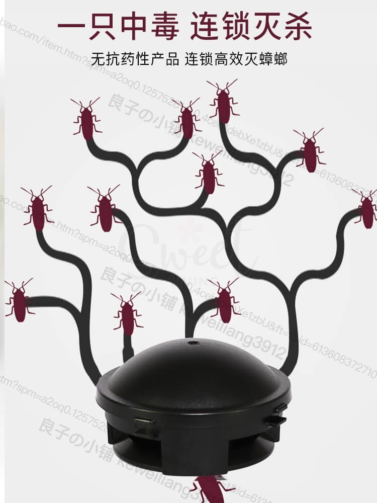 【日本】Earth 安速 蟑螂小黑屋 蟑螂屋小黑帽 家用灭蟑螂药 安全无毒一窝端 增量版18枚/盒/ EARTH Black Cap Insecticide -  - 8@ - Sweet Living