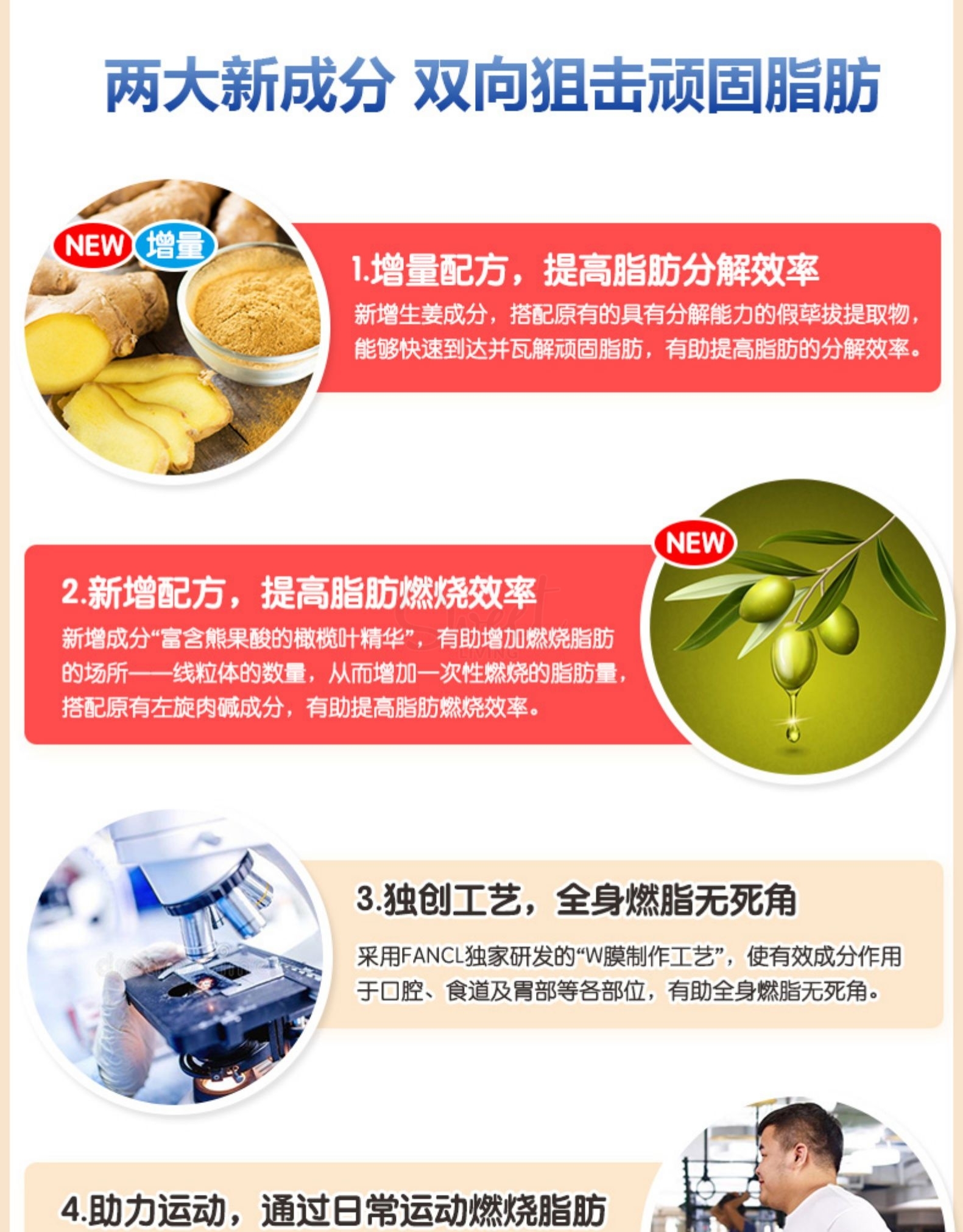 【日本】FANCL 燃脂纤体丸 含左旋肉碱 增强运动效果和脂肪分解效率 90粒/ FANCL L-Carnitine Tablets Fat Burning -  - 3@ - Sweet Living