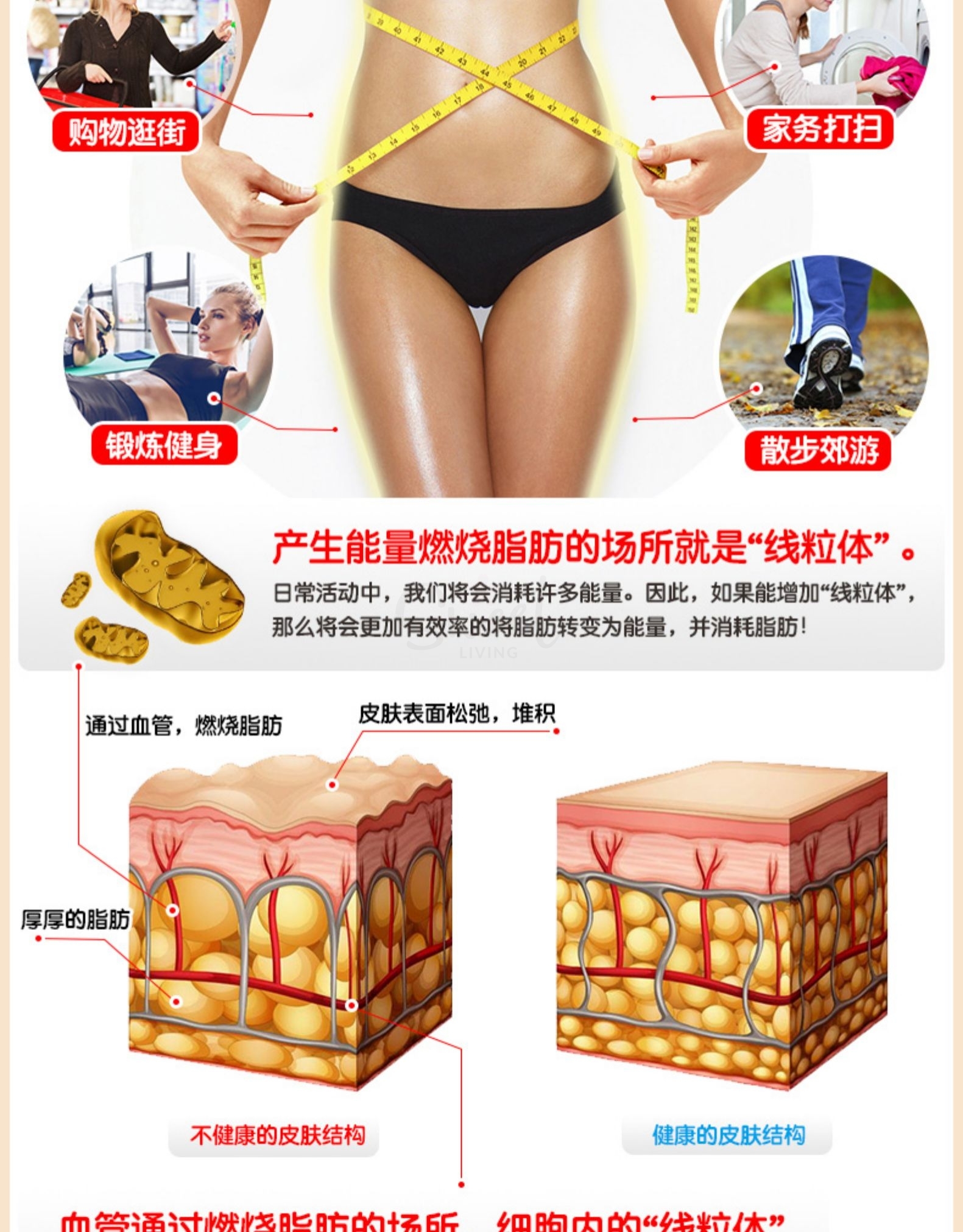 【日本】FANCL 燃脂纤体丸 含左旋肉碱 增强运动效果和脂肪分解效率 90粒/ FANCL L-Carnitine Tablets Fat Burning -  - 4@ - Sweet Living