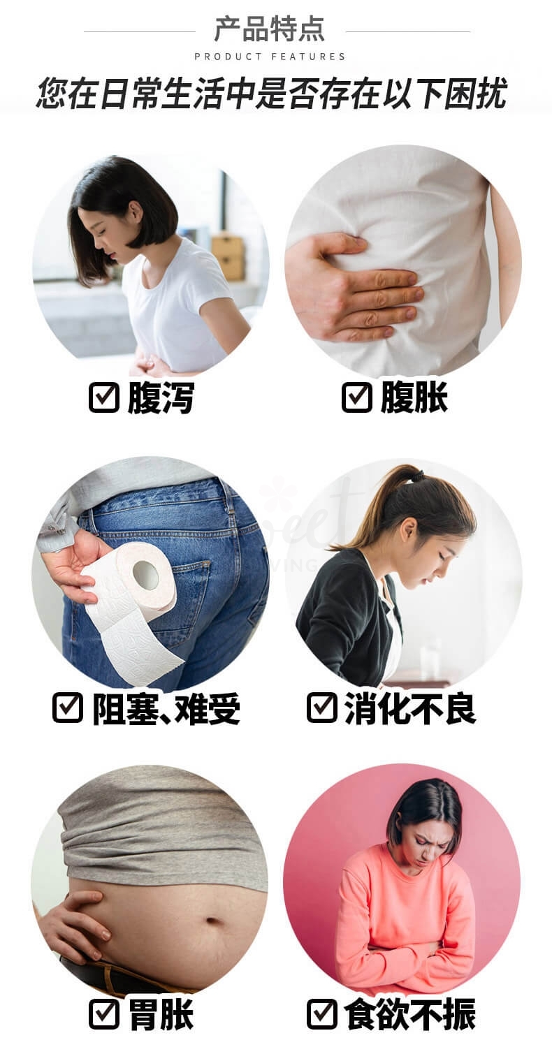 【日本】 WAKAMOTO 若元 胃肠锭 养胃丸 肠胃药 益生菌助消化护肠胃 1000锭 / Digestive Supplements 1000 pcs -  - 2@ - Sweet Living