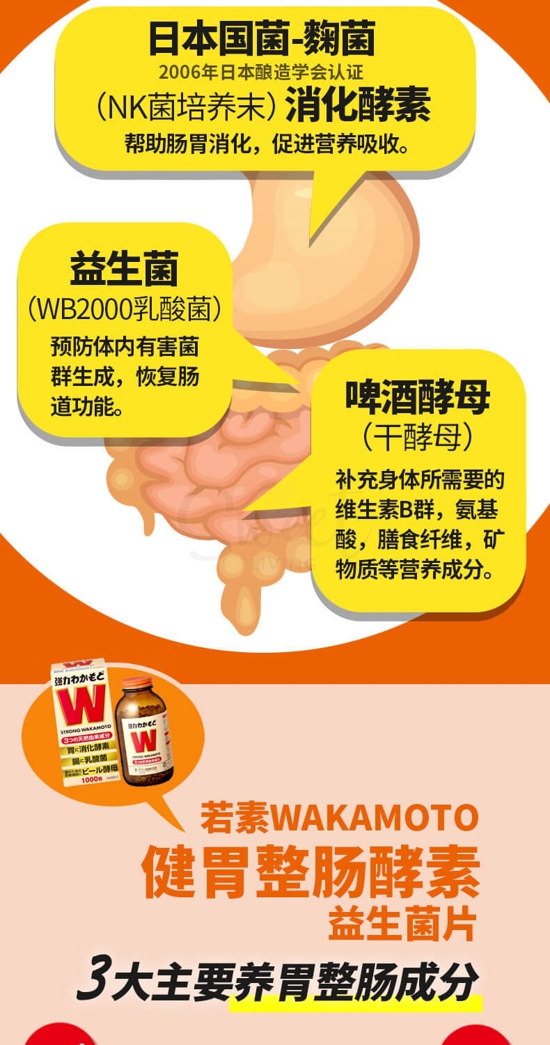 【日本】 WAKAMOTO 若元 胃肠锭 养胃丸 肠胃药 益生菌助消化护肠胃 1000锭 / Digestive Supplements 1000 pcs -  - 10@ - Sweet Living