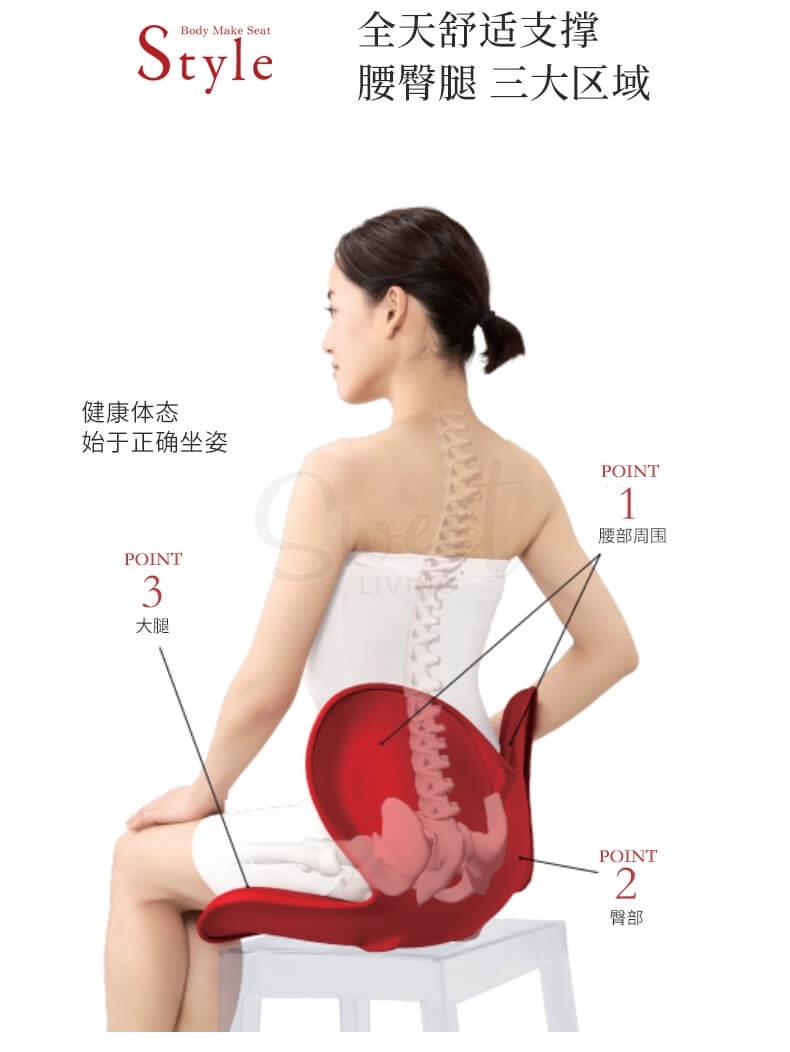 【日本】MTG 花瓣坐垫 矫正坐姿 护腰椎 办公室靠垫 久坐背部矫正神器 抗菌面料升级款 最新版第三代 灰色/ Back Cousion -  - 3@ - Sweet Living