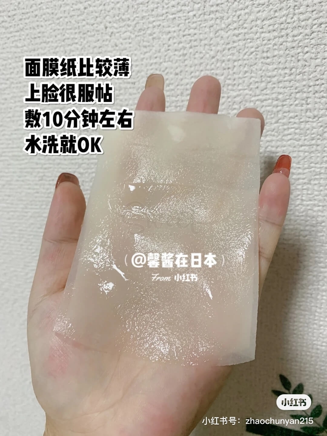 【日本】Nature Shop ANTIO 美容院线面膜 日本美容展人气面膜 保湿美白 玫瑰/花草/VC 一组10片 /Facial Masks -  - 12@ - Sweet Living