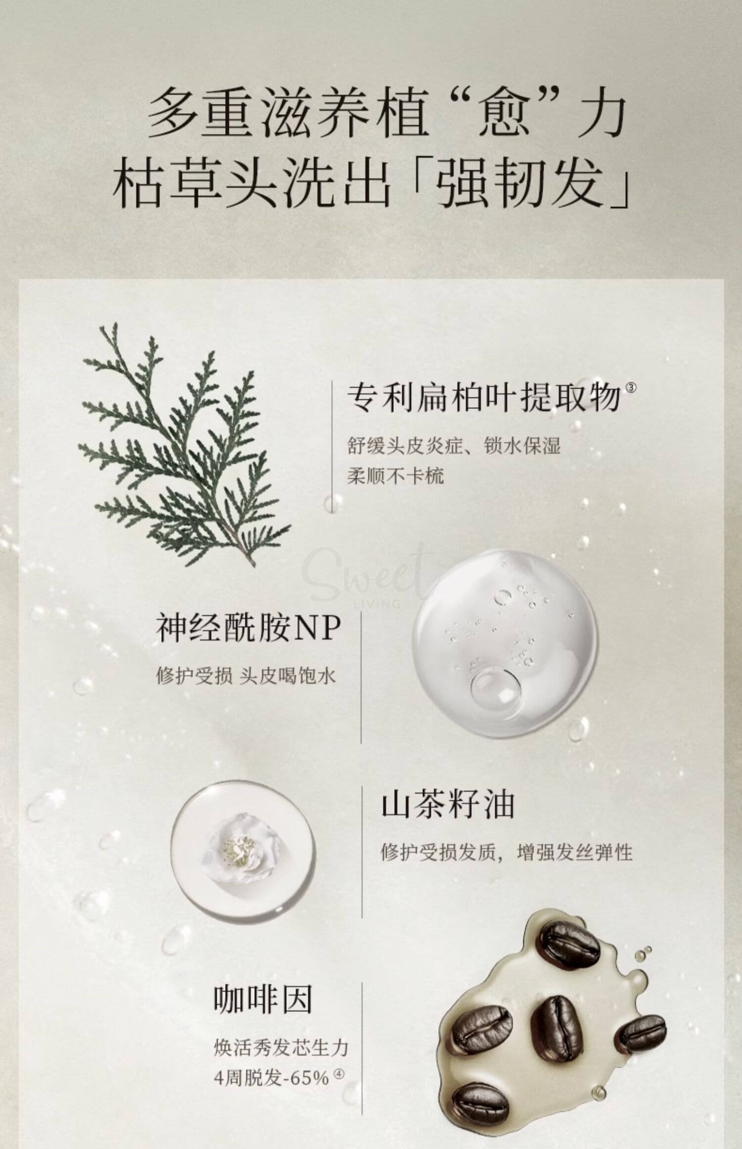 【韩国】 Longtake 爱茉莉旗下 高端香氛品牌 洗发水限量套组/ Shampoo  300ml+100ml -  - 5@ - Sweet Living