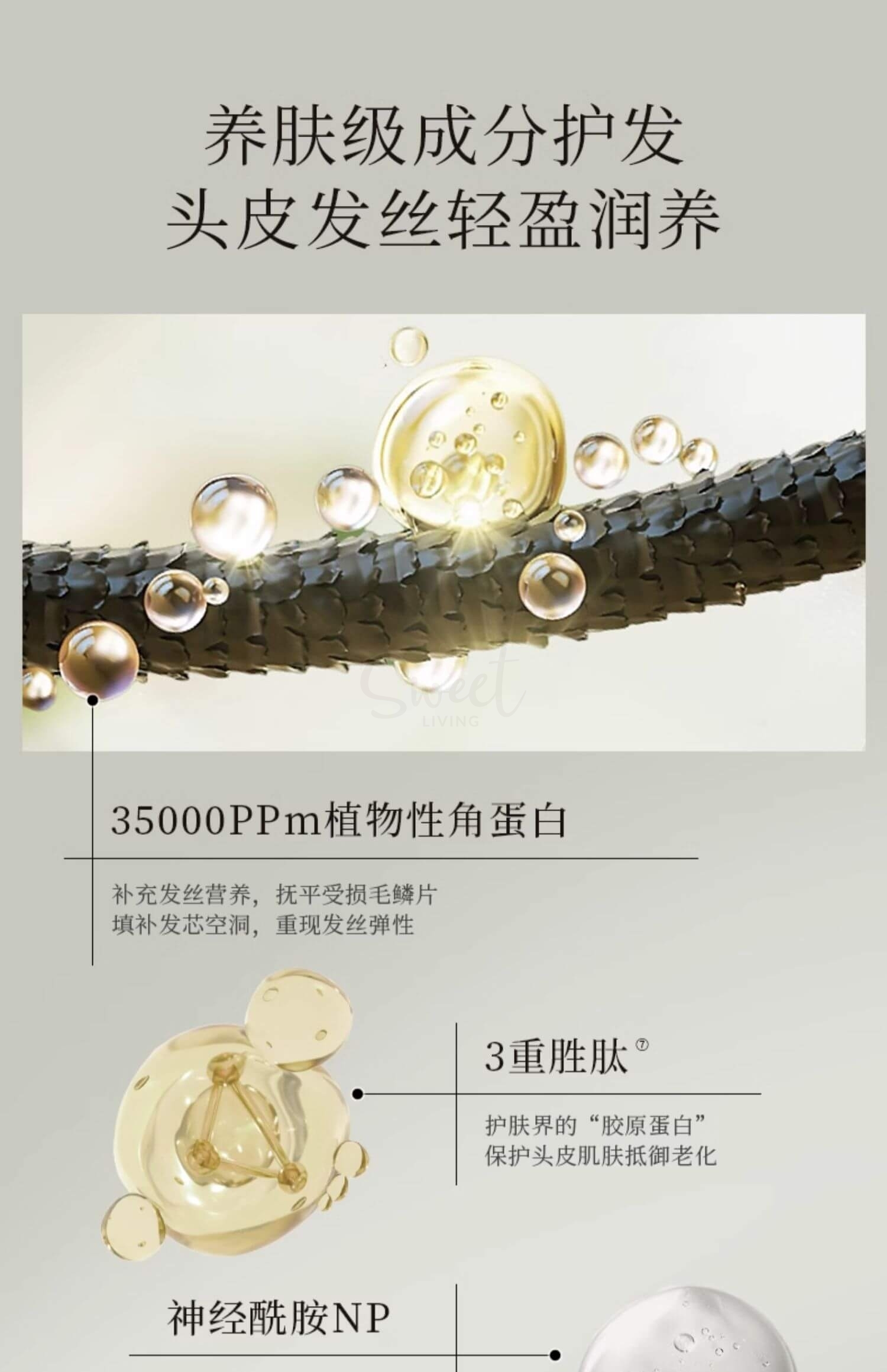 【韩国】 Longtake 爱茉莉旗下 高端香氛品牌 洗发水限量套组/ Shampoo  300ml+100ml -  - 13@ - Sweet Living