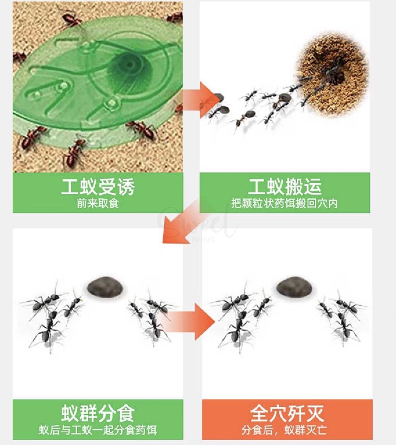 【日本】Vape 绿叶蚂蚁药 蚂蚁屋 灭蚁杀虫剂 家用 10枚入/ Ant Bait -  - 5@ - Sweet Living