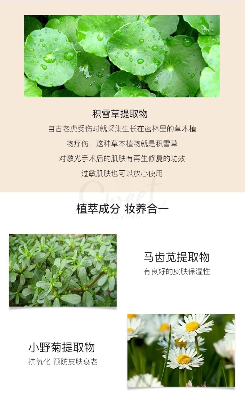 【韩国】V FAU 再生修复遮瑕保湿水光BB霜 SPF37 PA++/ V Skin Solution BB Cream  30g -  - 5@ - Sweet Living