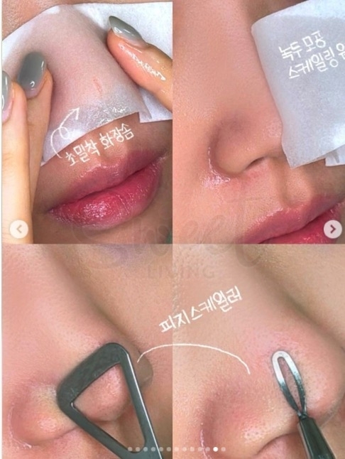 【韩国】Beplain 绿豆黑头导出液套组  150ml + 化妆棉片 40pcs + 双头黑头铲 / Beplain mung bean pore scaling water set -  - 4@ - Sweet Living