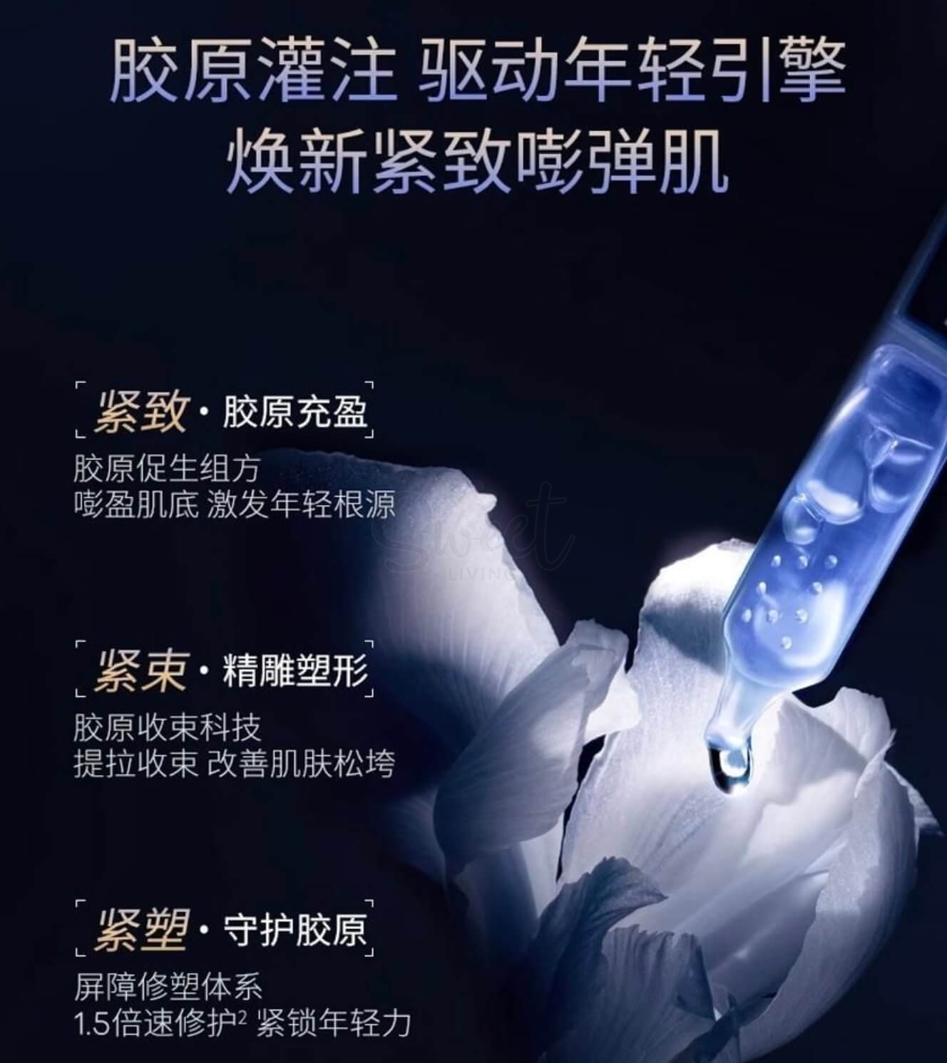 【中国】医药品牌 华熙生物 夸迪 焕颜2.0 蓝次抛精华液 蓝铜胜肽紧致1.25ml*30支 / QUADHA  Hyaluronic Acid Serum -  - 5@ - Sweet Living