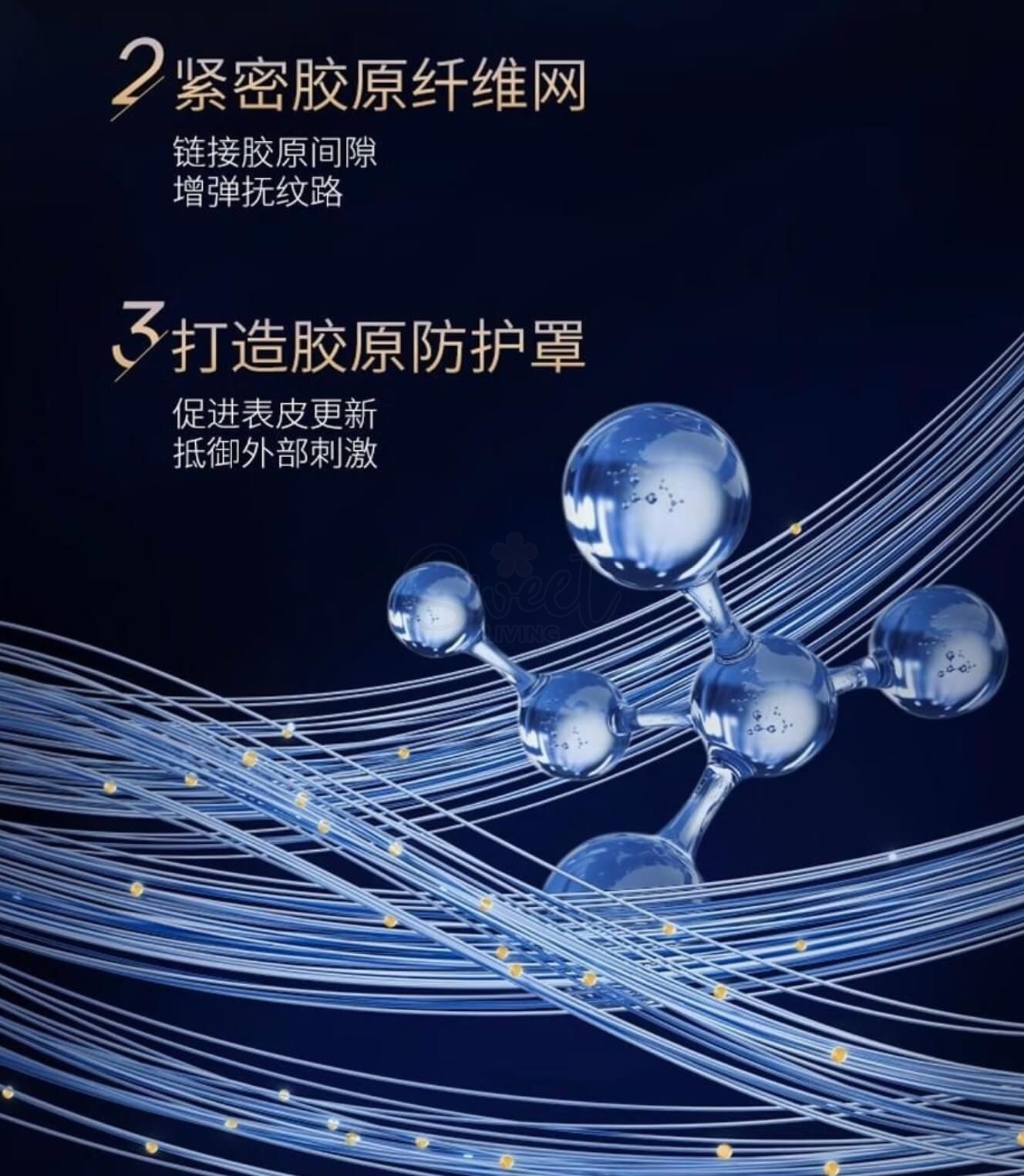 【中国】医药品牌 华熙生物 夸迪 焕颜2.0 蓝次抛精华液 蓝铜胜肽紧致1.25ml*30支 / QUADHA  Hyaluronic Acid Serum -  - 8@ - Sweet Living