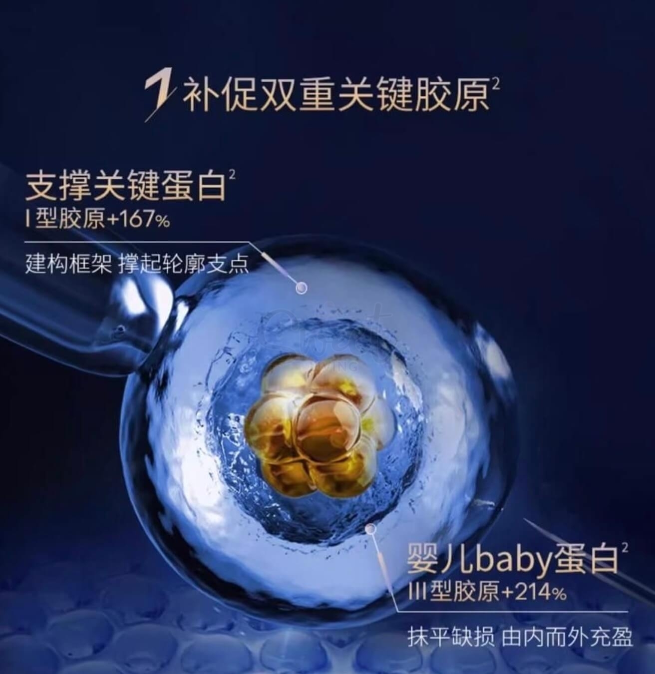 【中国】医药品牌 华熙生物 夸迪 焕颜2.0 蓝次抛精华液 蓝铜胜肽紧致1.25ml*30支 / QUADHA  Hyaluronic Acid Serum -  - 7@ - Sweet Living