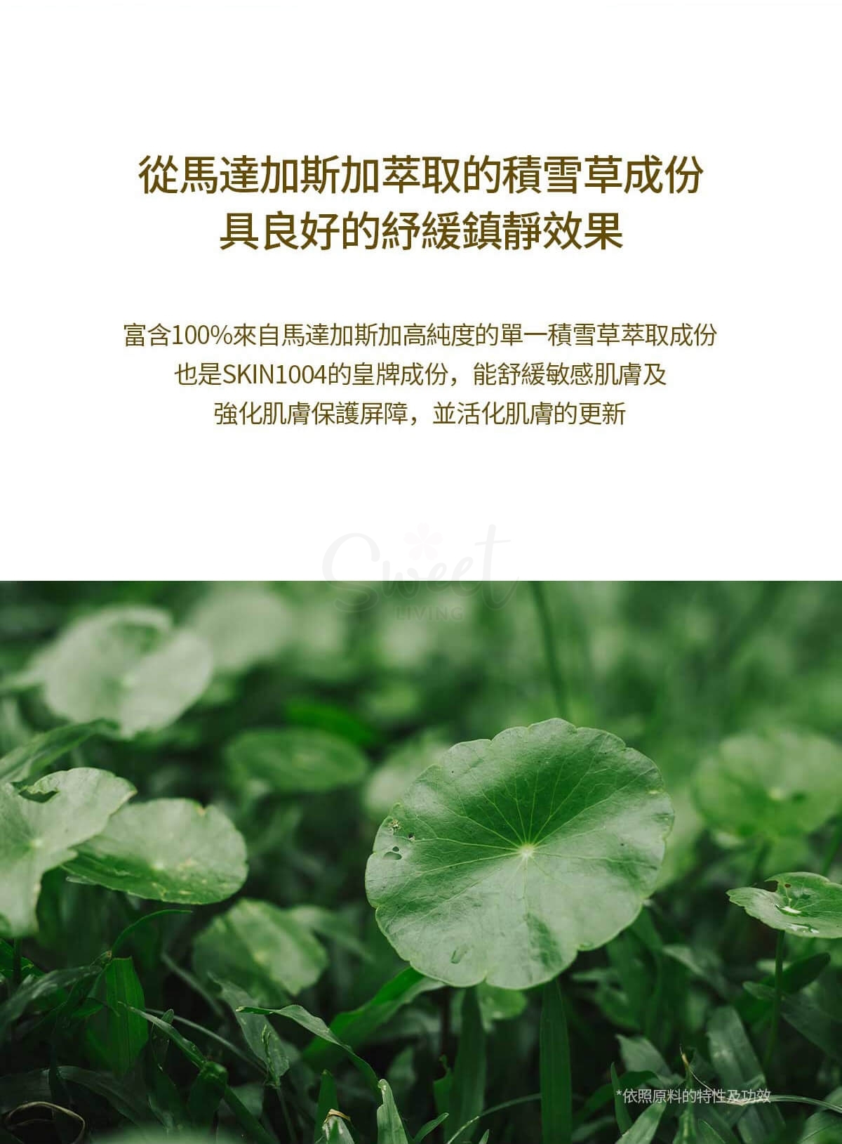 【韩国】SKIN1004/ 理肤天使 马达加斯加积雪草 保湿修复 安瓶精华液 大号 100ml -  - 7@ - Sweet Living