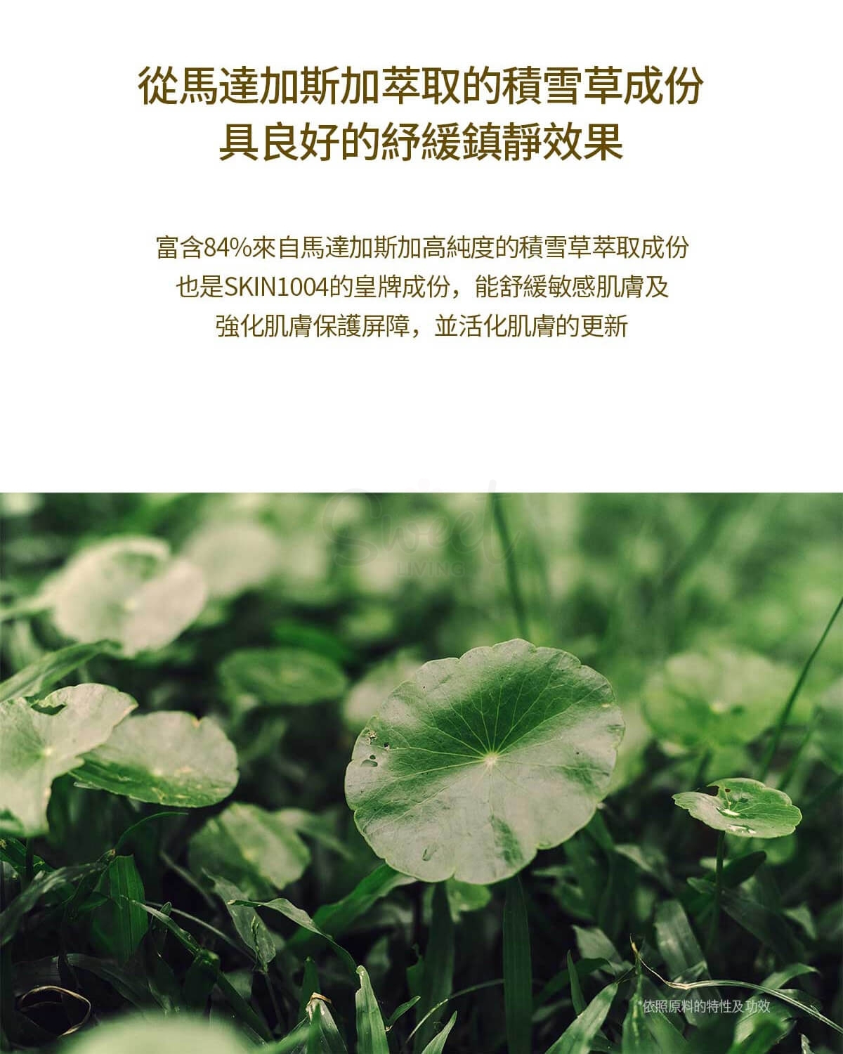 【韩国】SKIN1004/ 理肤天使 马达加斯加 积雪草 保湿修复爽肤水 化妆水 210ml -  - 5@ - Sweet Living