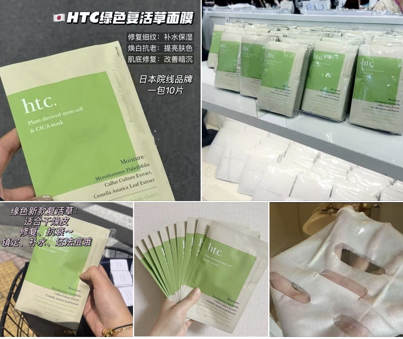【日本】Natural Shop HTC 高浓度 植物干细胞面膜 复活草绿色款 10枚 -  - 4@ - Sweet Living