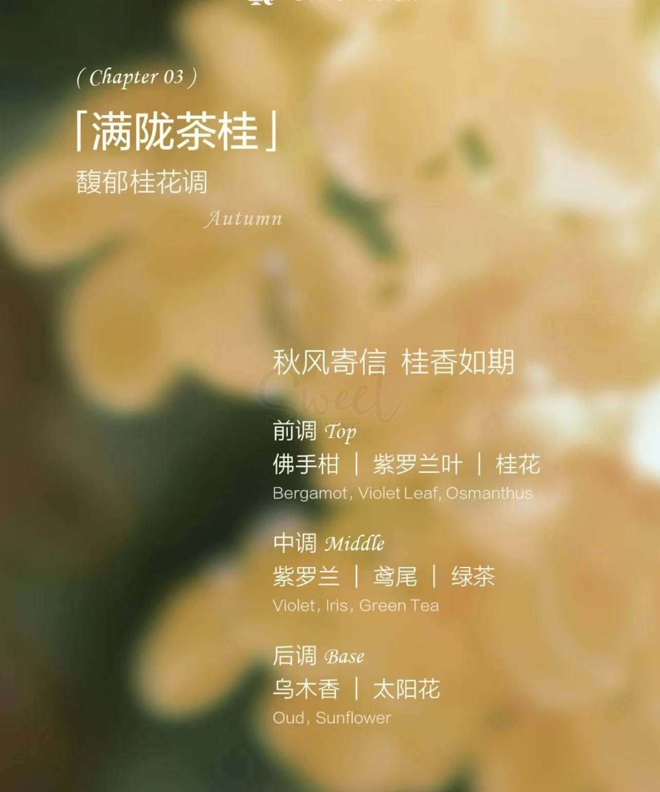 【日本】Off&Relax 护发精油香氛礼盒 发油套组（15ml*4） -  - 9@ - Sweet Living