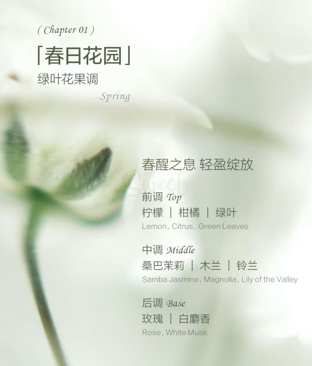 【日本】Off&Relax 护发精油香氛礼盒 发油套组（15ml*4） -  - 11@ - Sweet Living