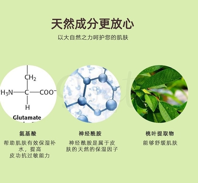 【日本】芳珂/Fancl  氨基酸泡沫洗面奶 温和净肤洁面泡沫 保湿柔嫩 150ml -  - 2@ - Sweet Living